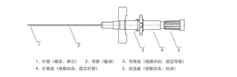 留置針結(jié)構(gòu)組成.png